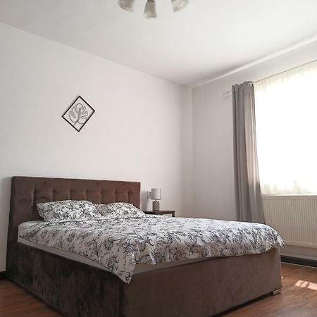 Dove Apartment Sibiu Esterno foto